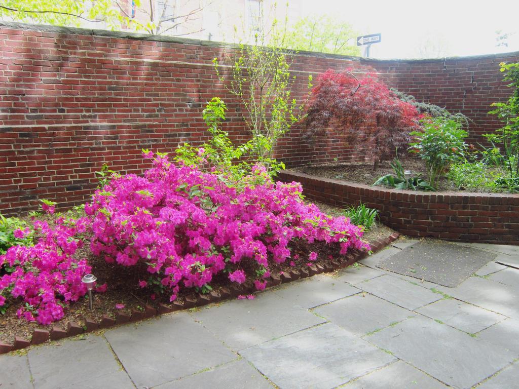 The Revolution Boston