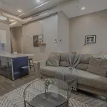 Luxury Furnished Loft Near Park Street Station