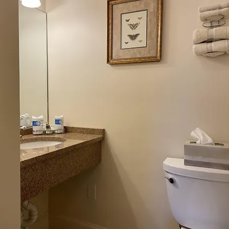 Oasis Guest house