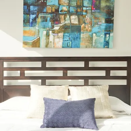 Apartment On Harrison Avenue Boston