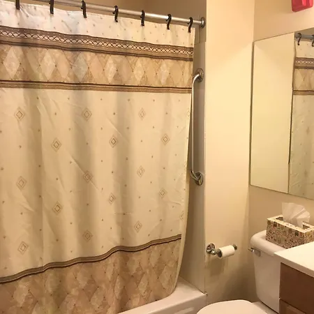 Oasis 2*