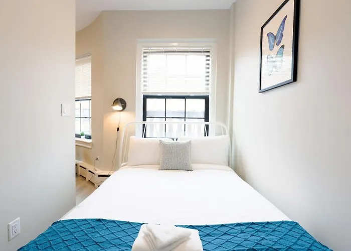 Spacious And Bright Studio