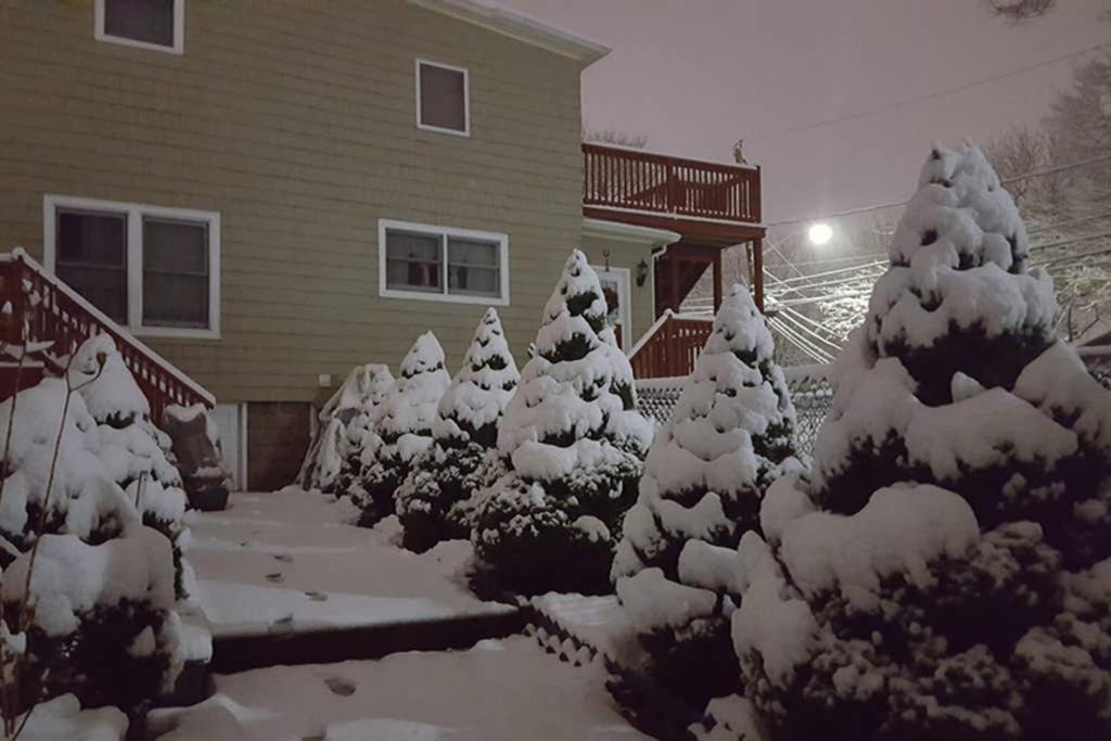 Modern Beautiful Apartment-5 Beds-full Kitchen-parking-super Clean-great For Groups Apartment Boston