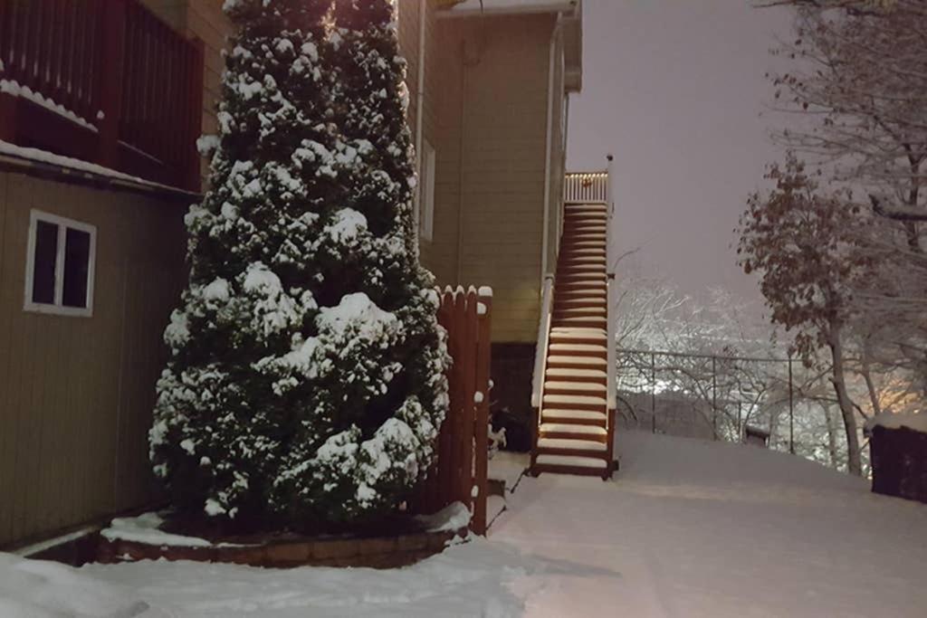 Modern Beautiful Apartment-5 Beds-full Kitchen-parking-super Clean-great For Groups Apartment *