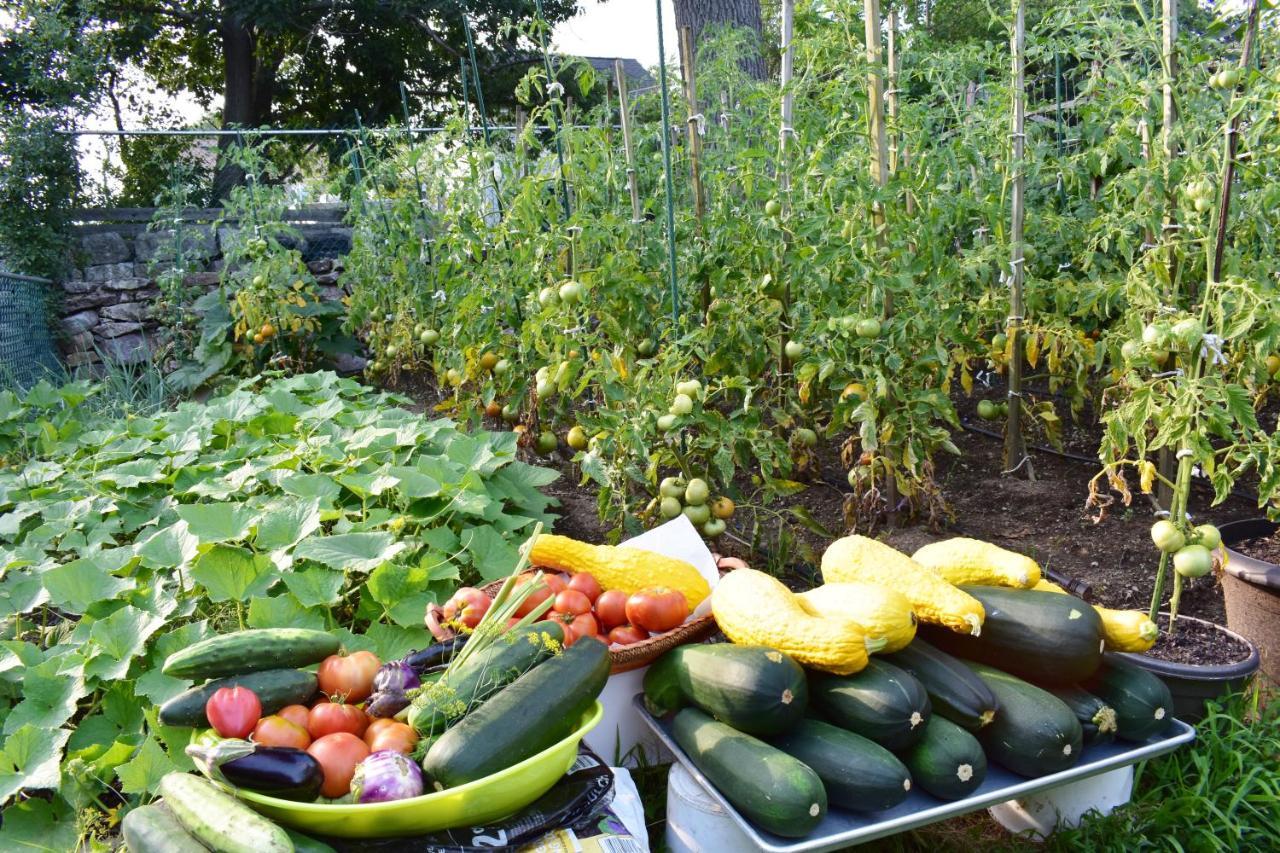 Modern Beautiful Apartment-5 Beds-full Kitchen-parking-super Clean-great For Groups * Boston