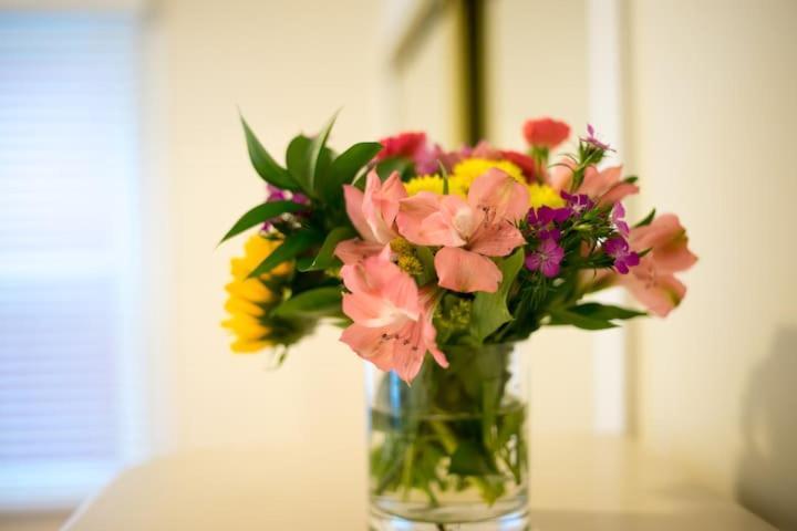 The - Multiple Floorplans *