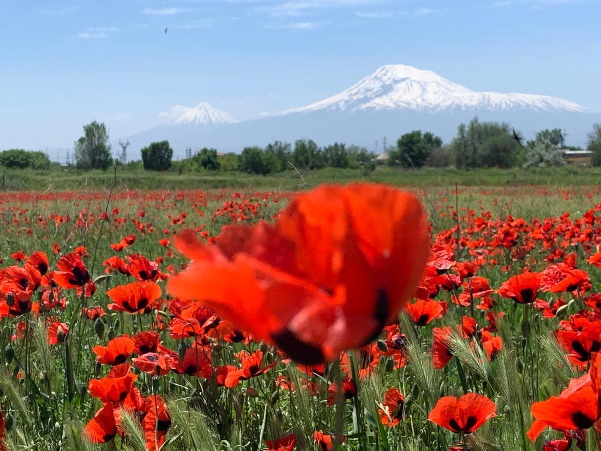 Homestay Beautiful Victorian House,