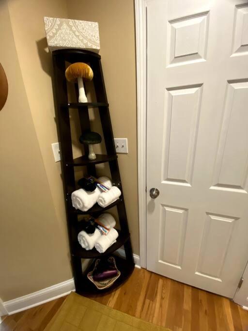 Apartment Cozy Getaway Apartment! Free Parking Boston