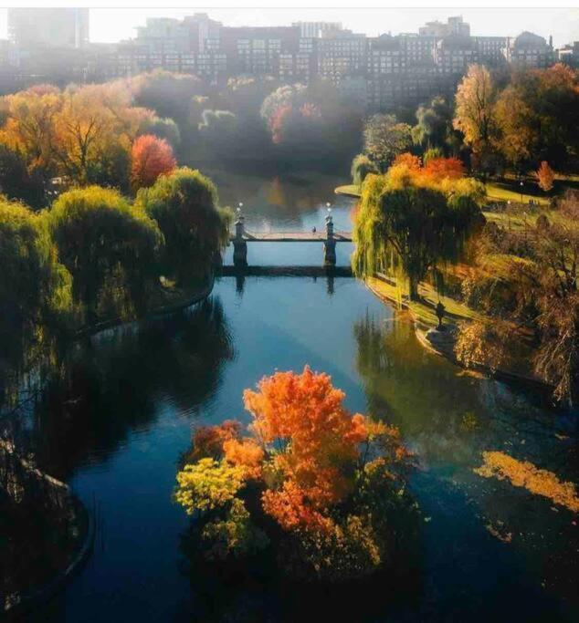 Harbor Views Modern North End Free Parking! Boston