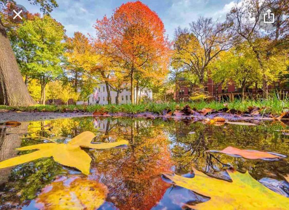 Harbor Views Modern North End Free Parking! Apartment