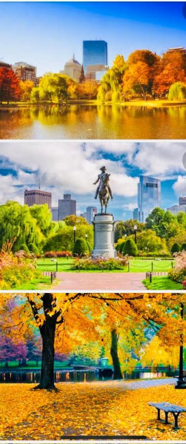 Harbor Views Modern North End Free Parking! Apartment *