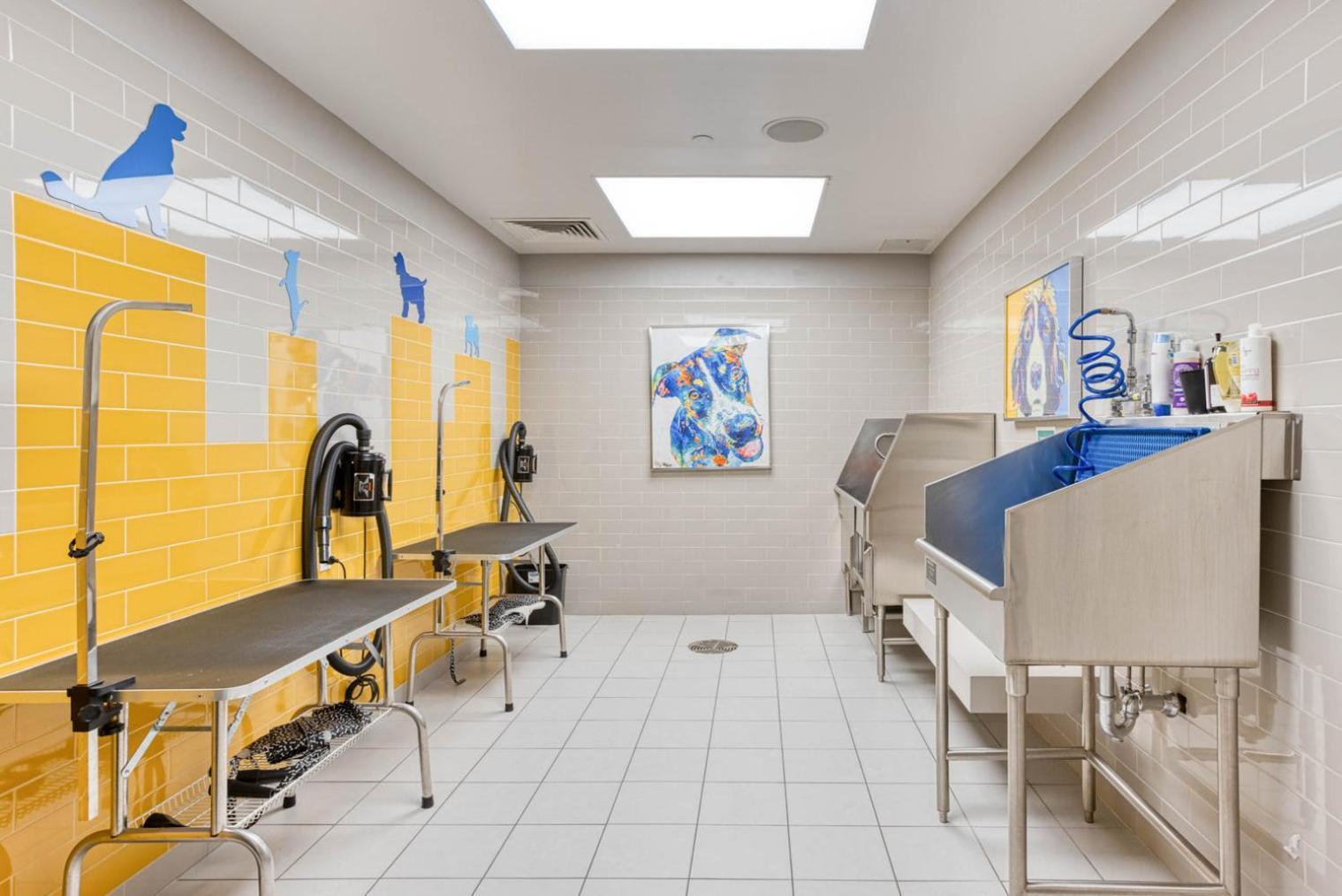 Blueground N Station Gym Wd Nr T Shops Bos-1004 Apartamento Boston