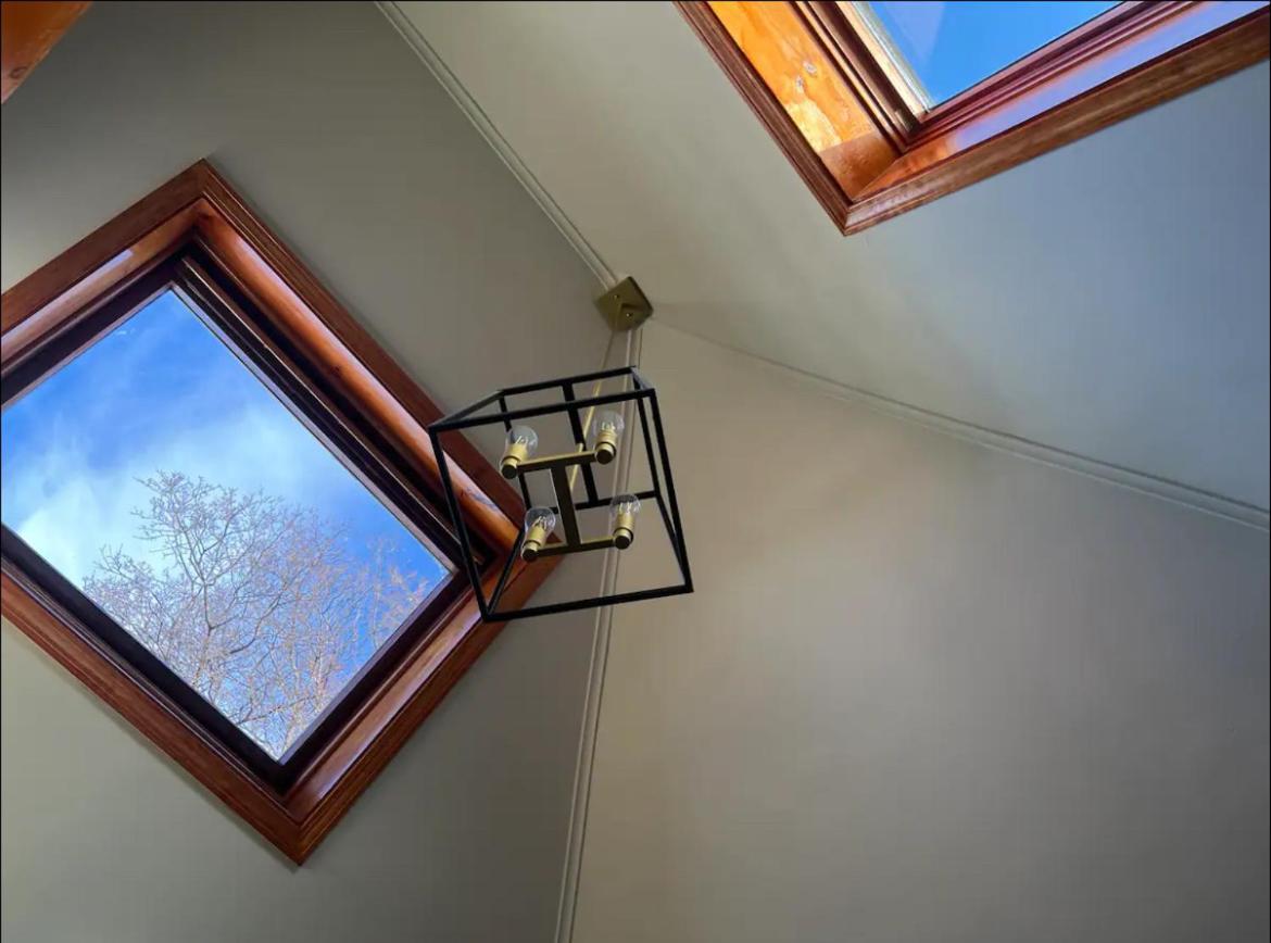 Large Open Concept In Zoo Franklin Park Near Apartment Boston
