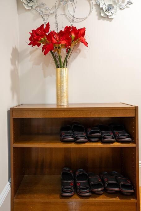 80-3 3br - Charming Near Harvard Square Apartment