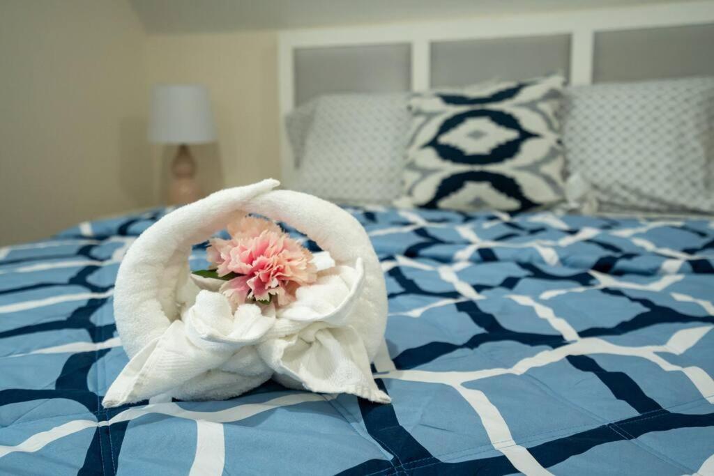 80-3 3br - Charming Near Harvard Square Apartment *