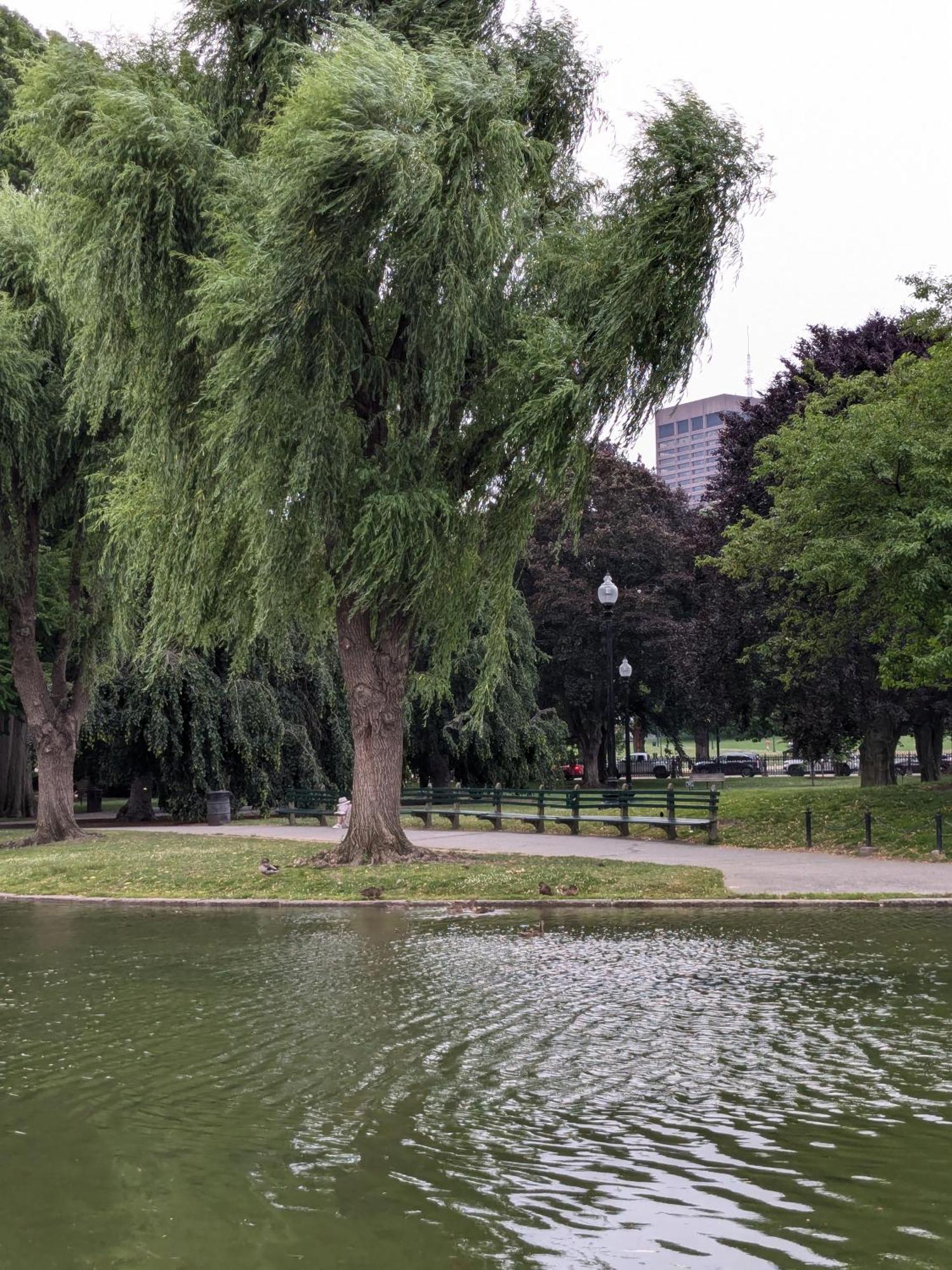 Homestel Hostel Boston