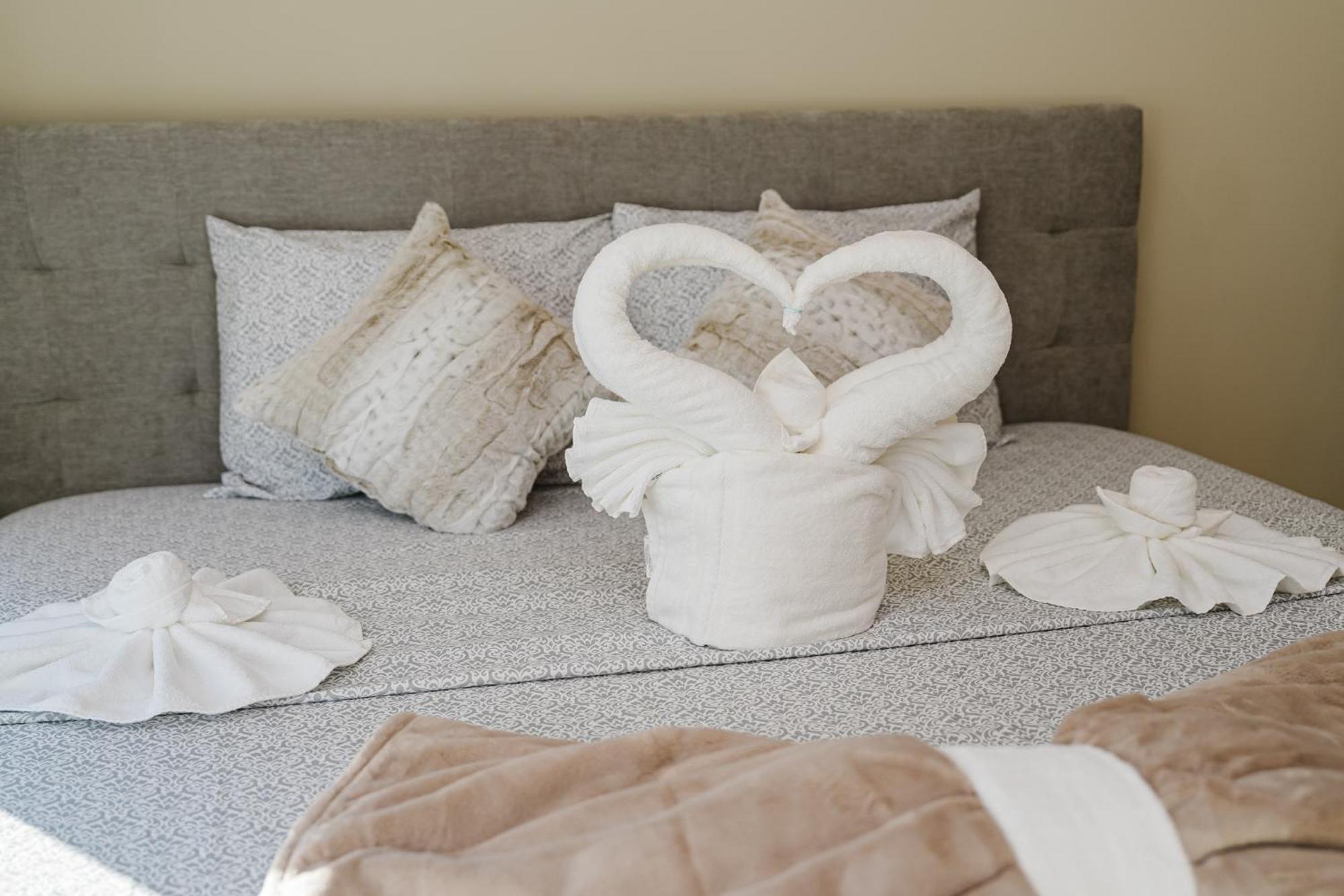 60-1 4br - Cozy New Near Park Zoo * Boston