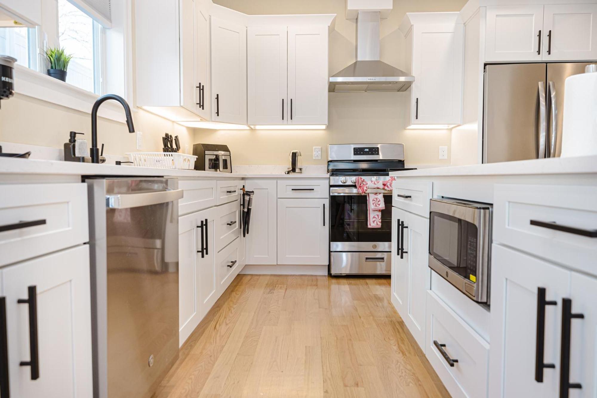 60-1 4br - Cozy New Near Park Zoo * Boston