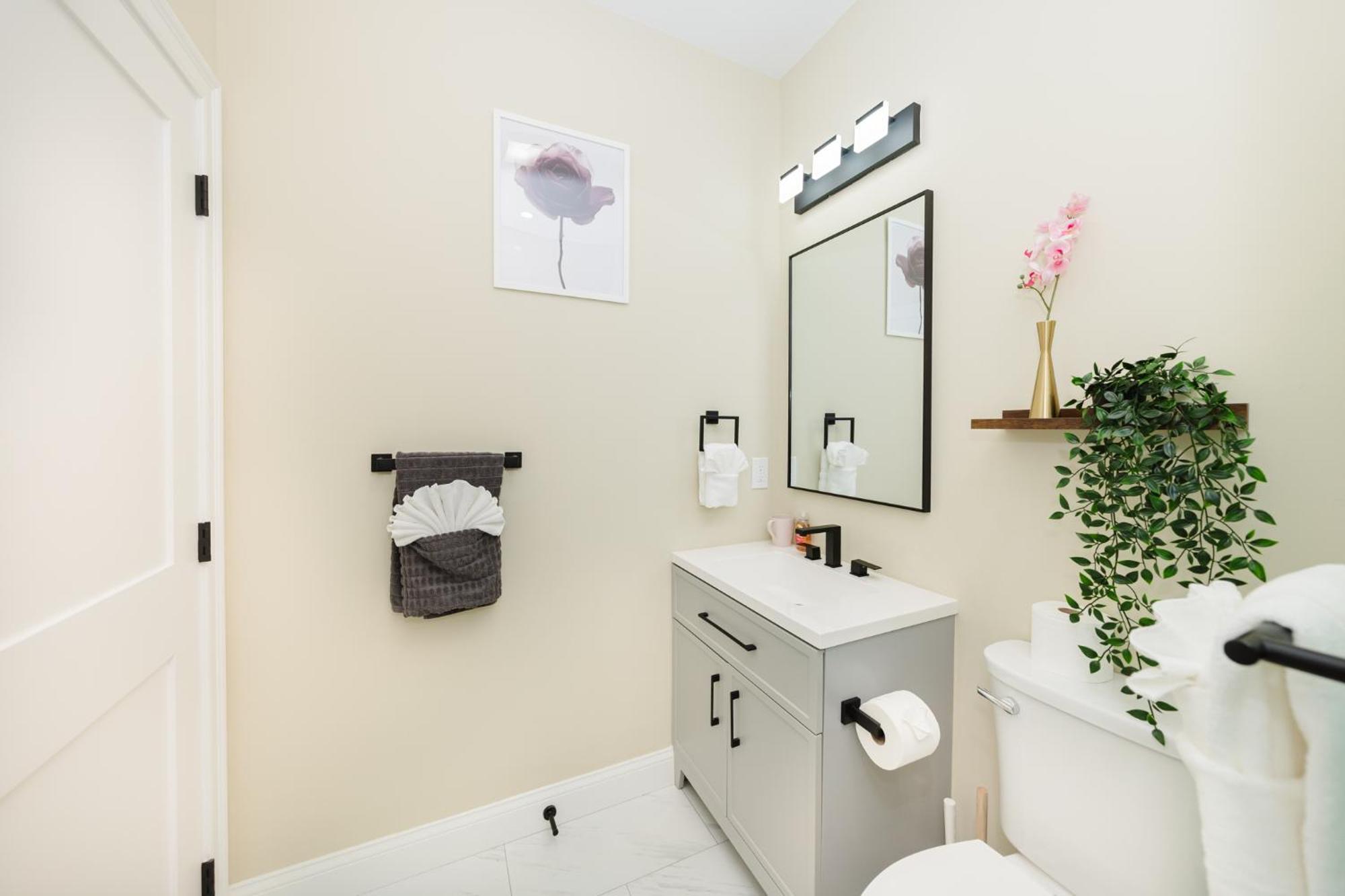60-1 4br - Cozy New Near Park Zoo Apartment Boston