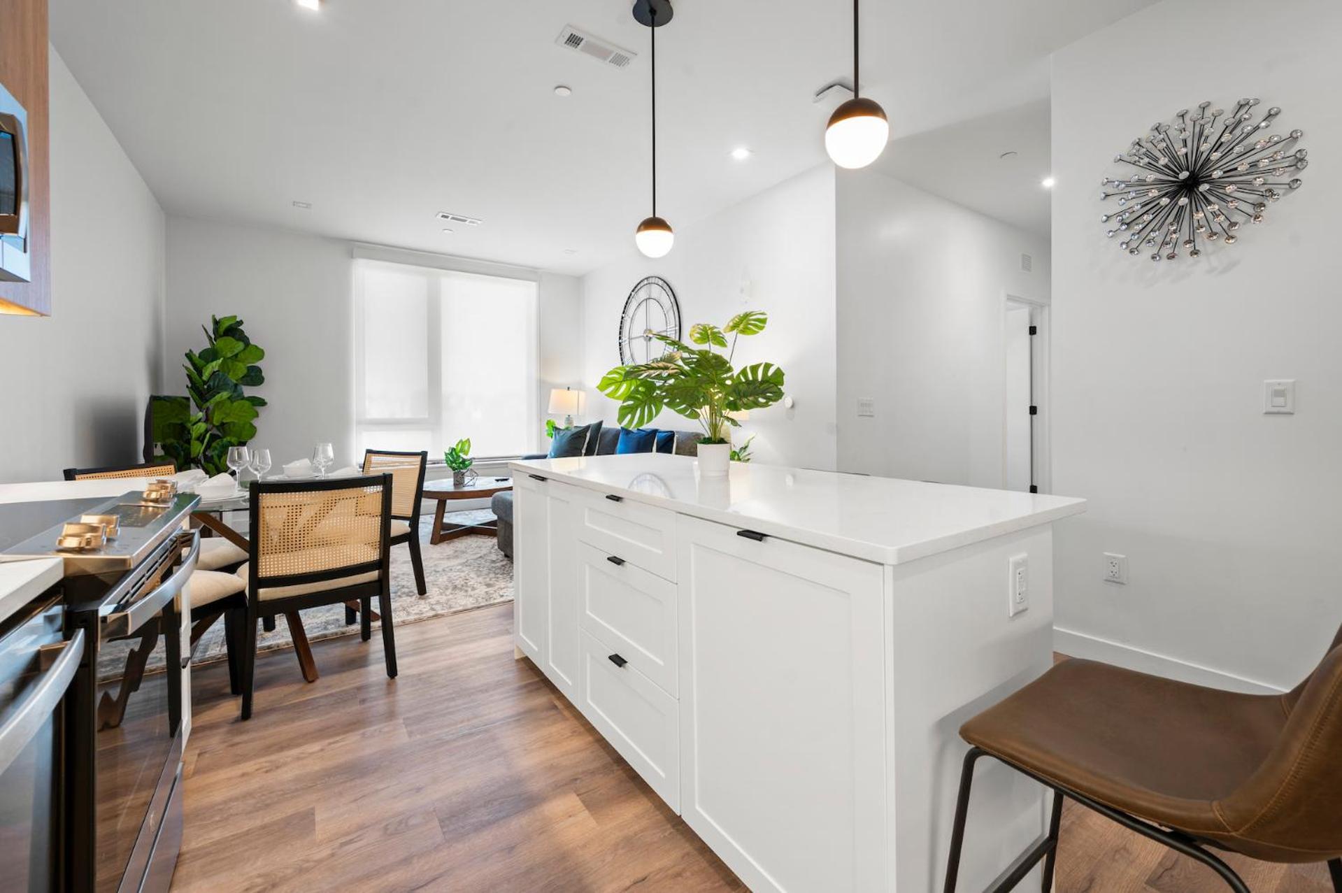 Luxury Furnished Near Logan Airport