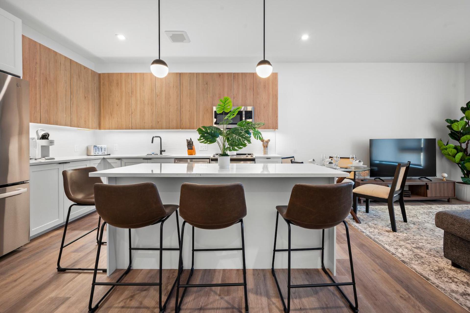 Apartment Luxury Furnished Near Logan Airport