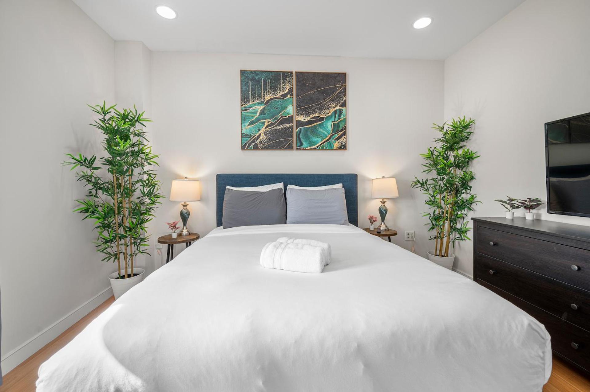 Beautiful 2br In Southend Apartment *