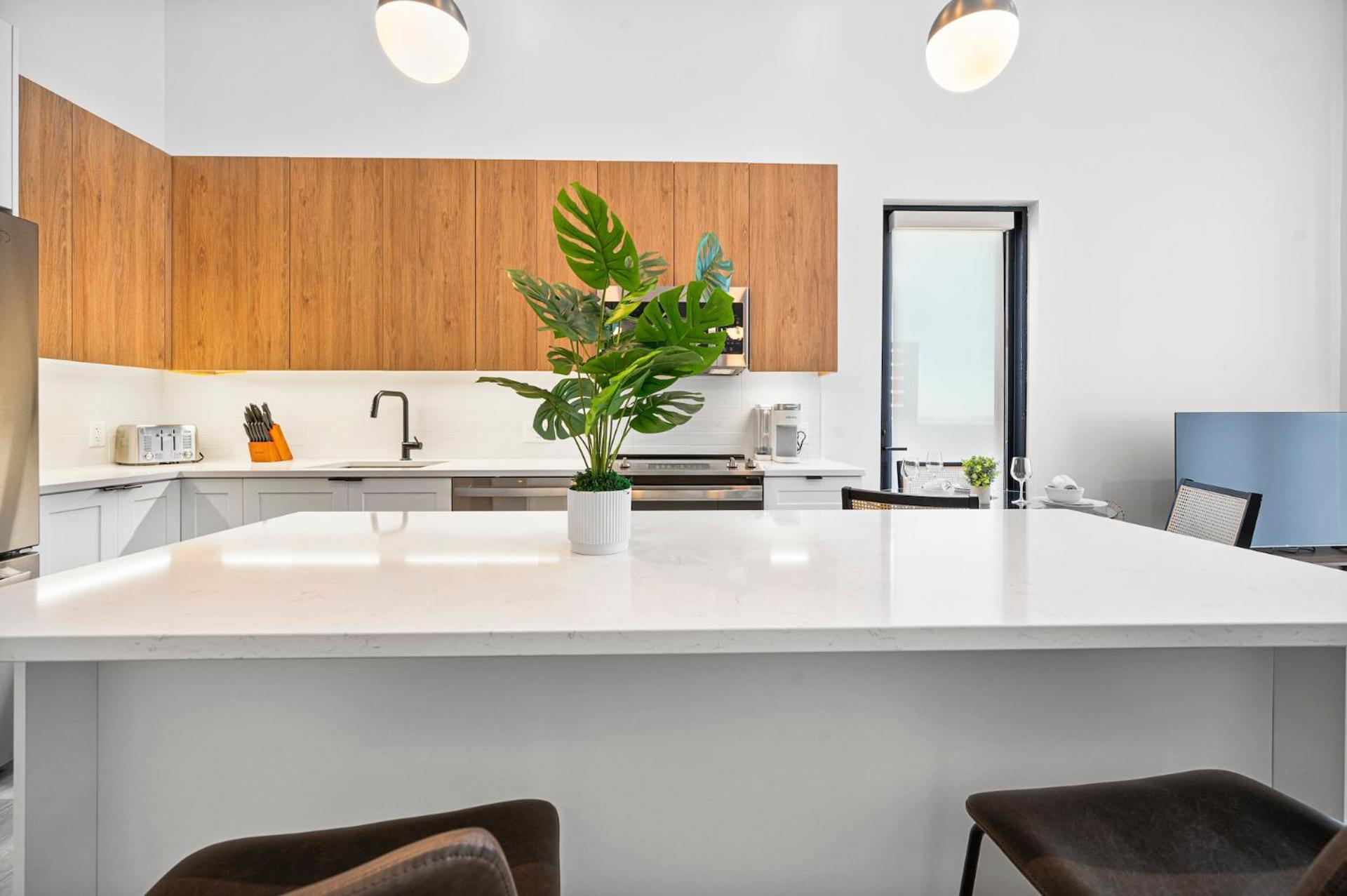 Apartment Luxury Furnished Near Logan Airport *