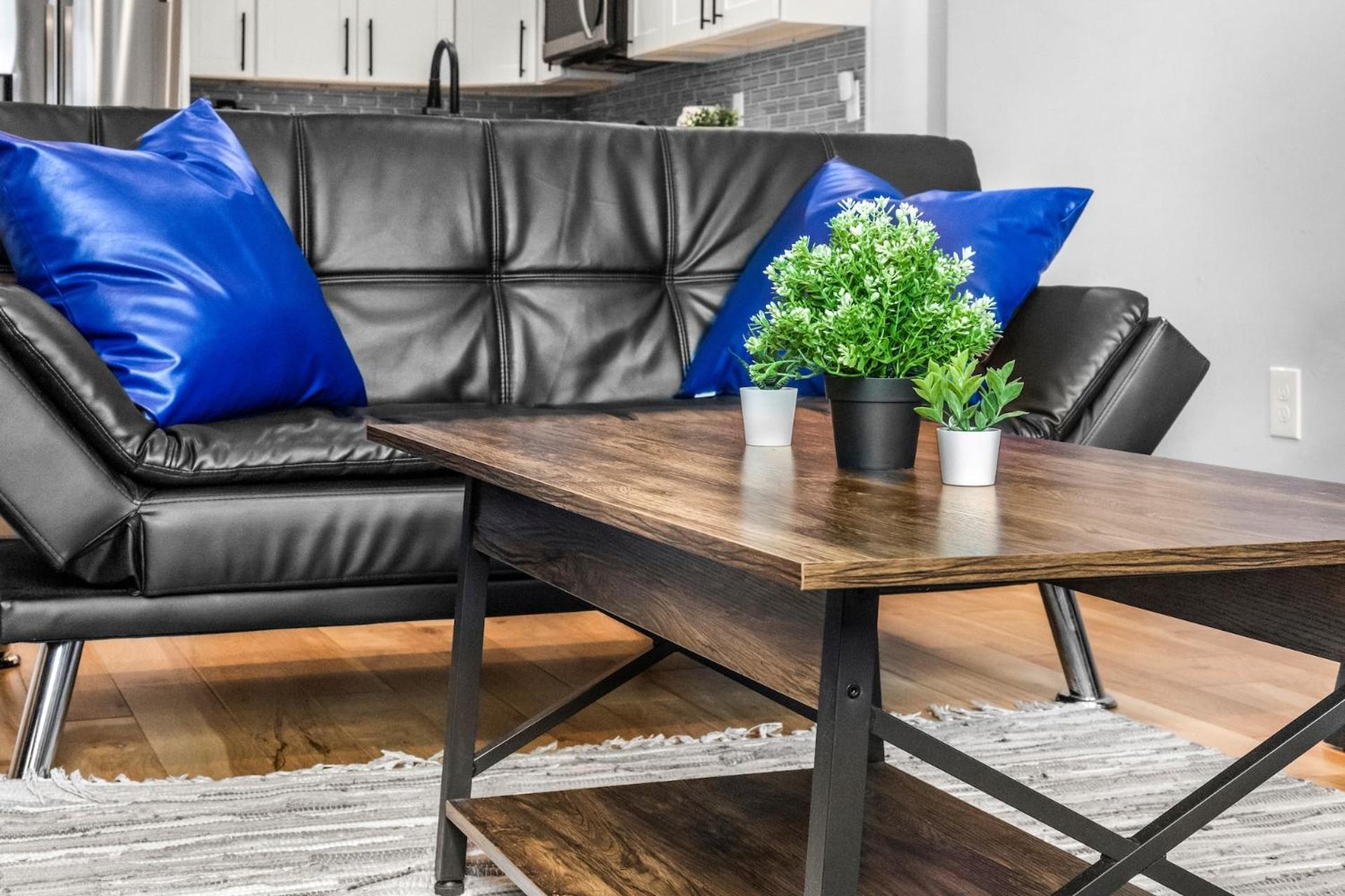 Furnished Near Logan Airport