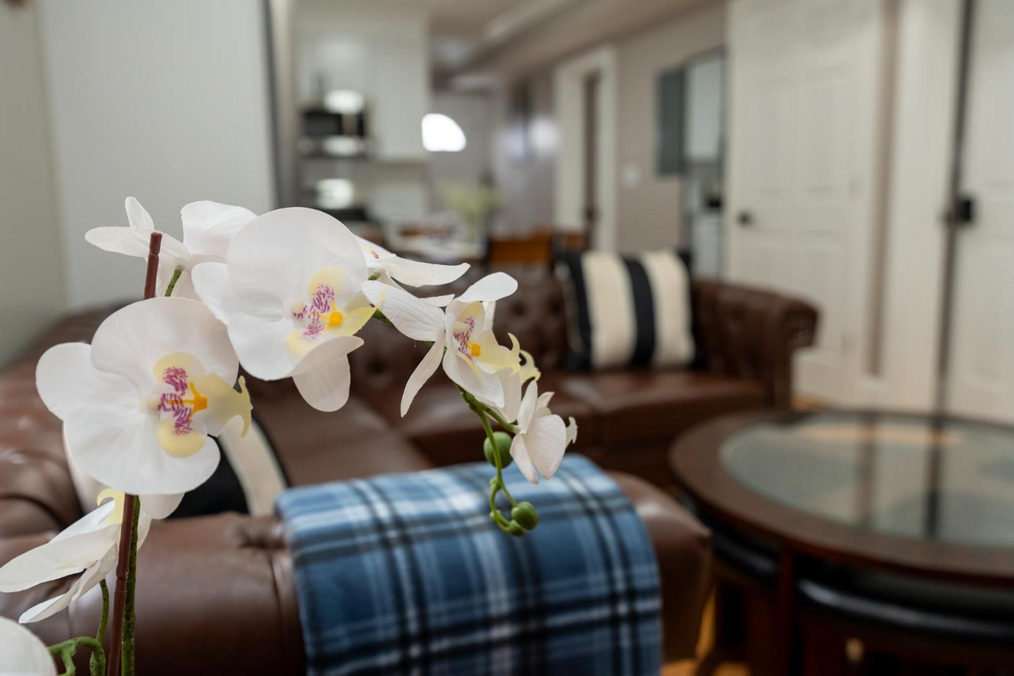 Apartment 558-1 3br - Renovated Nest Near Aquarium *