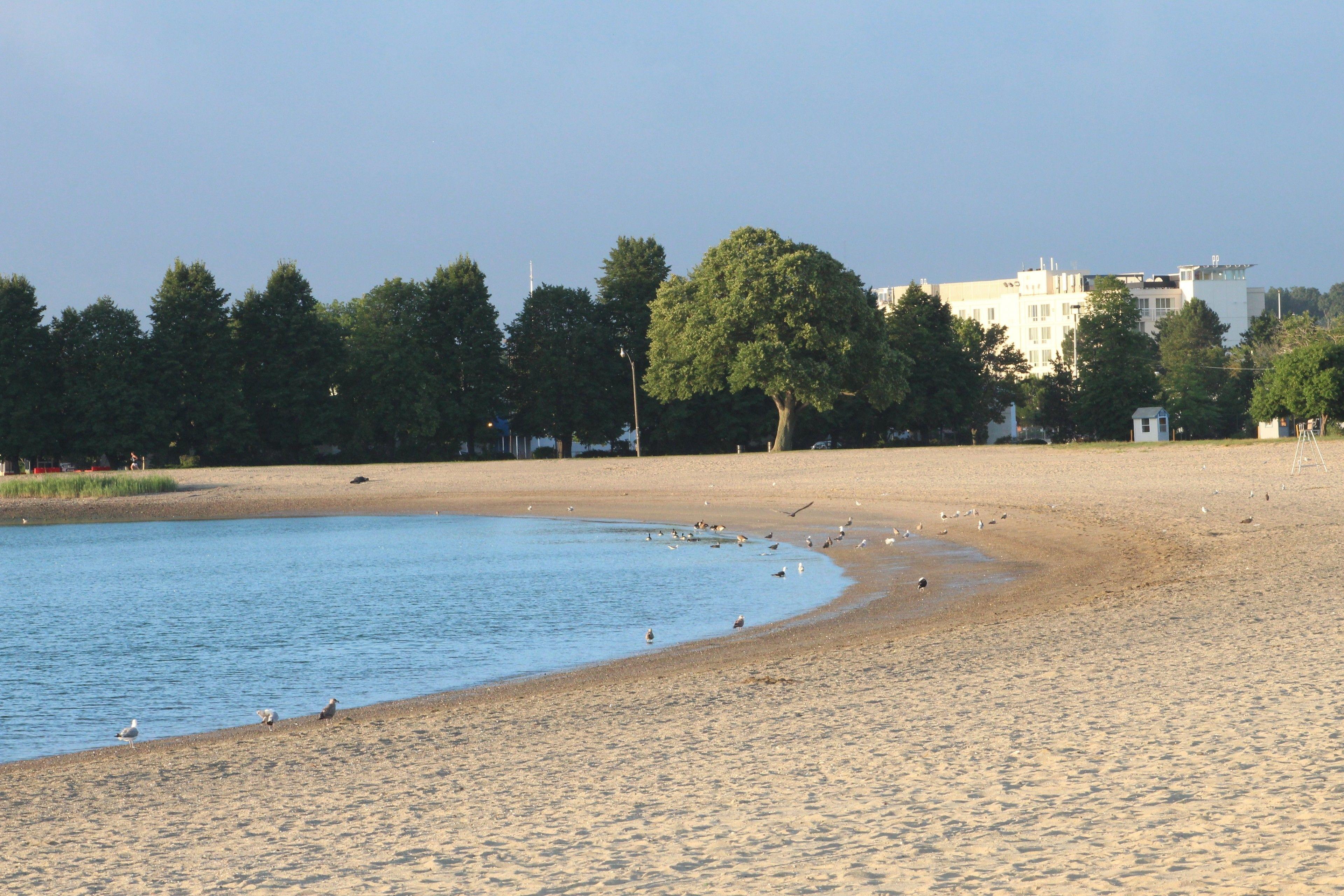 Doubletree By Hilton Bayside Boston