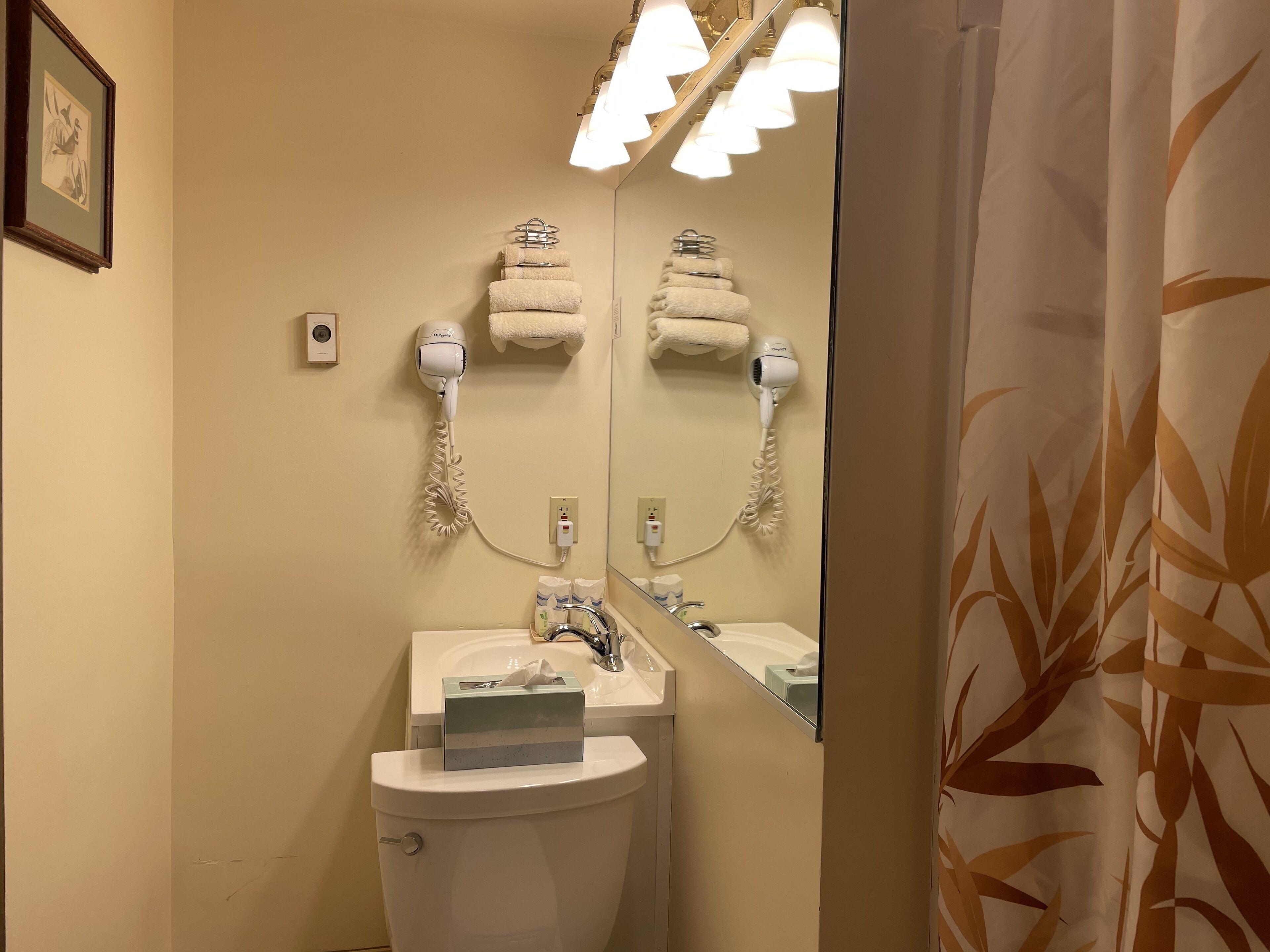 Oasis 2*