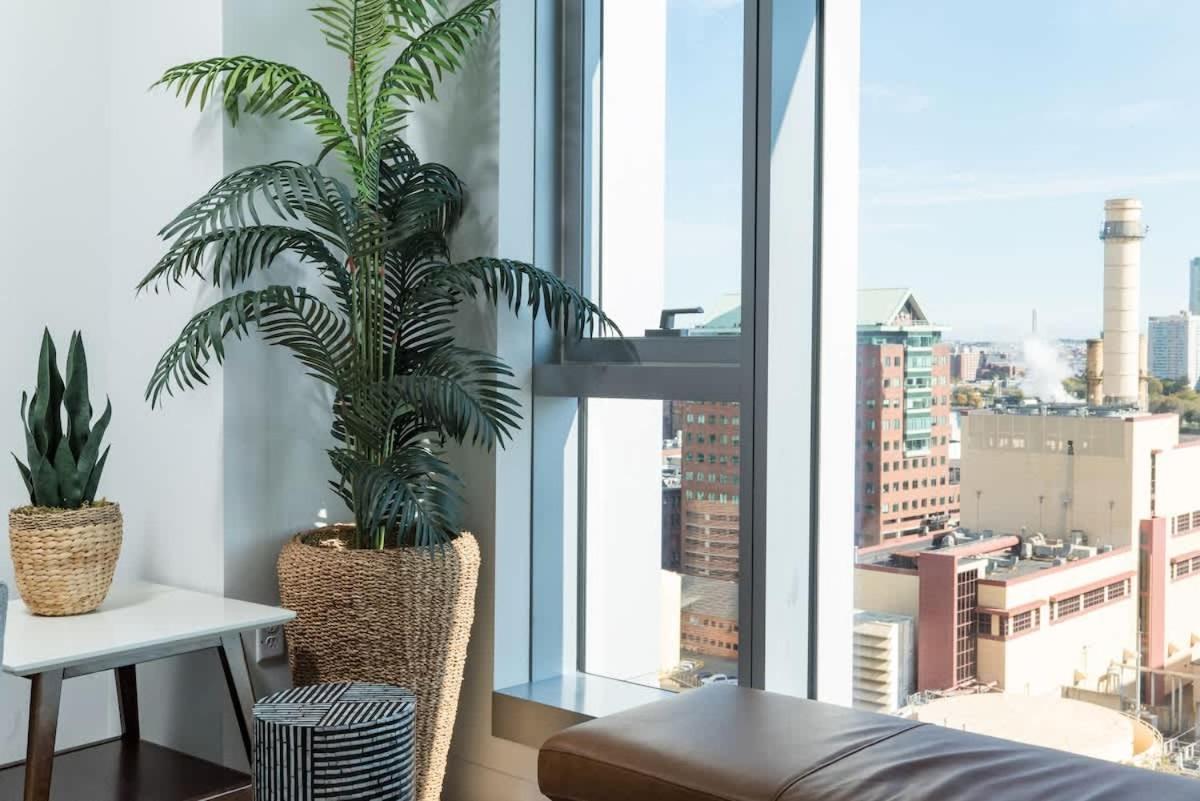 3br & Den Penthouse Common Mgh & Tufts Apartment Boston