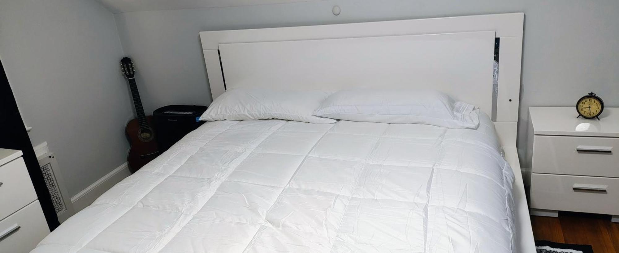 Homestay Available In A Hyde Park, Neighborhood