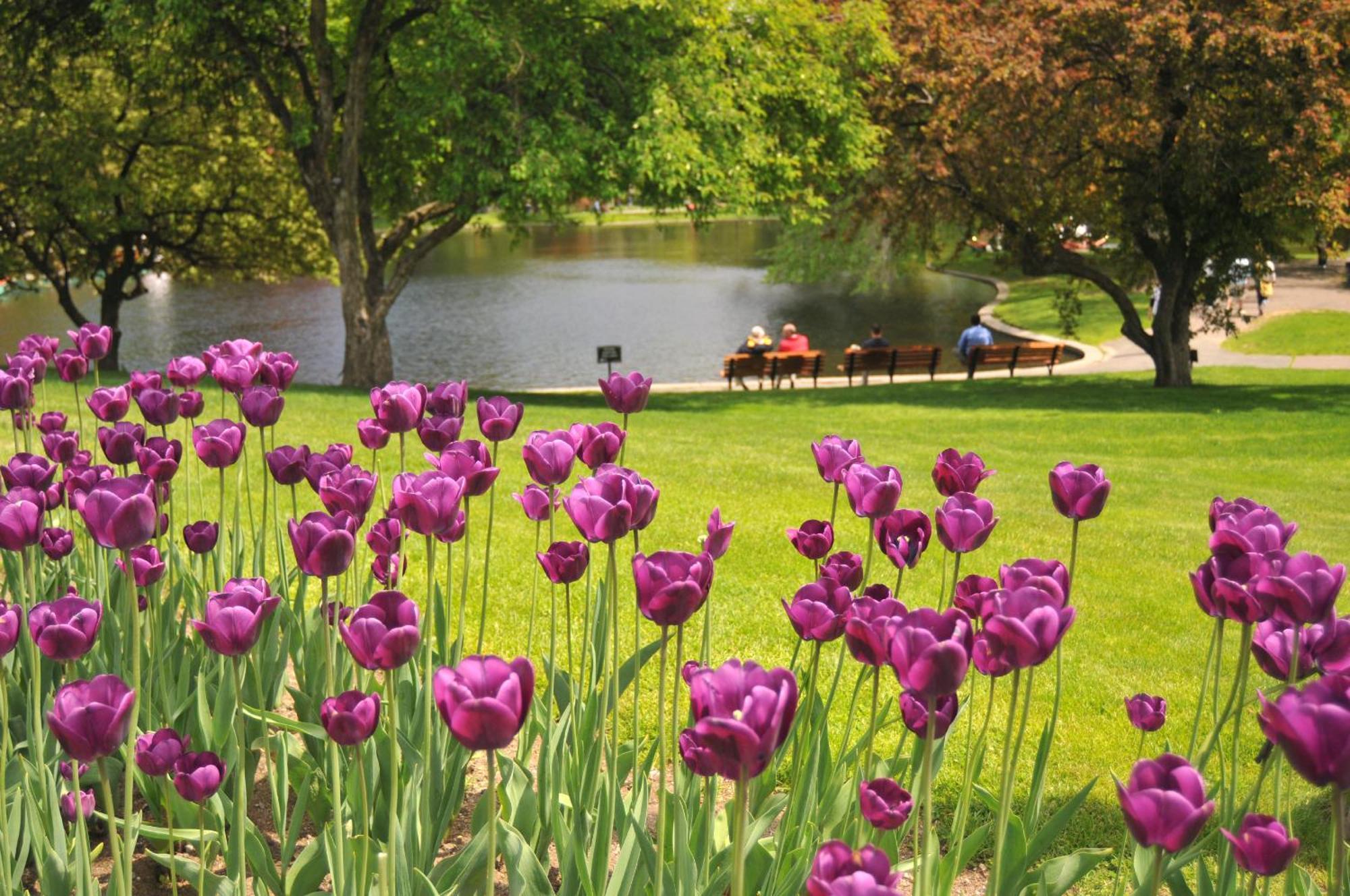 Mandarin Oriental, 5*