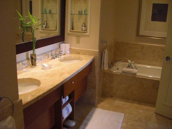 Hotel The Ritz-carlton,
