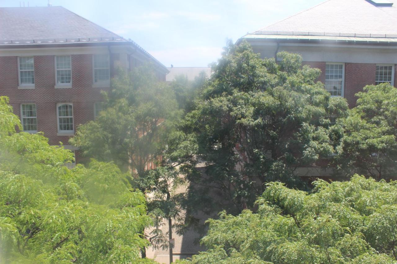 Constitution 2* Boston