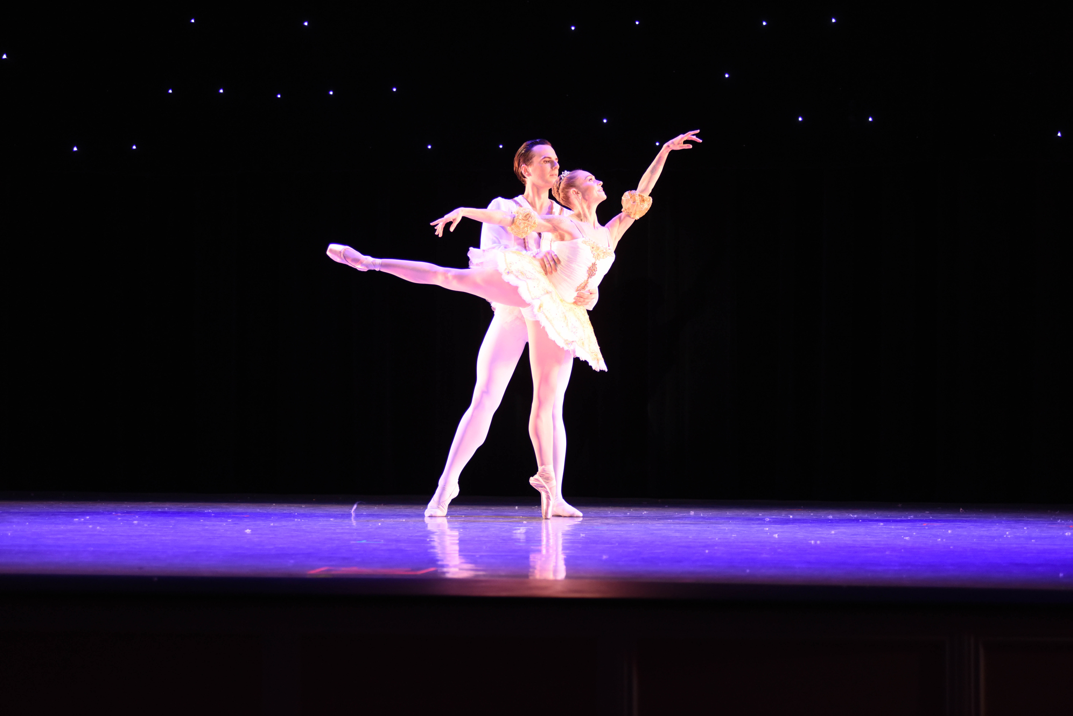Ballet Theatre Company