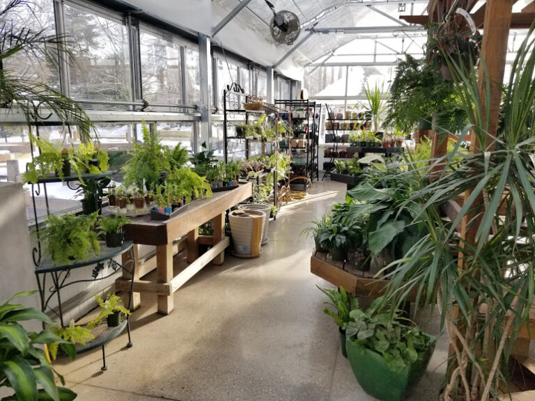 Six spots for holiday shopping in Exeter, New Hampshire