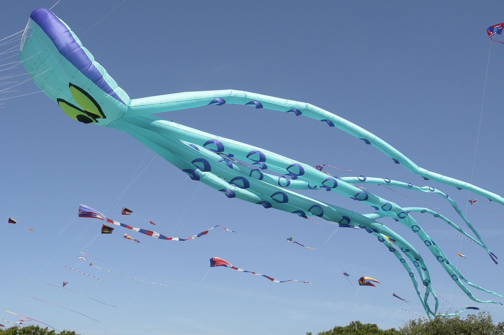 Newport Kite Festival