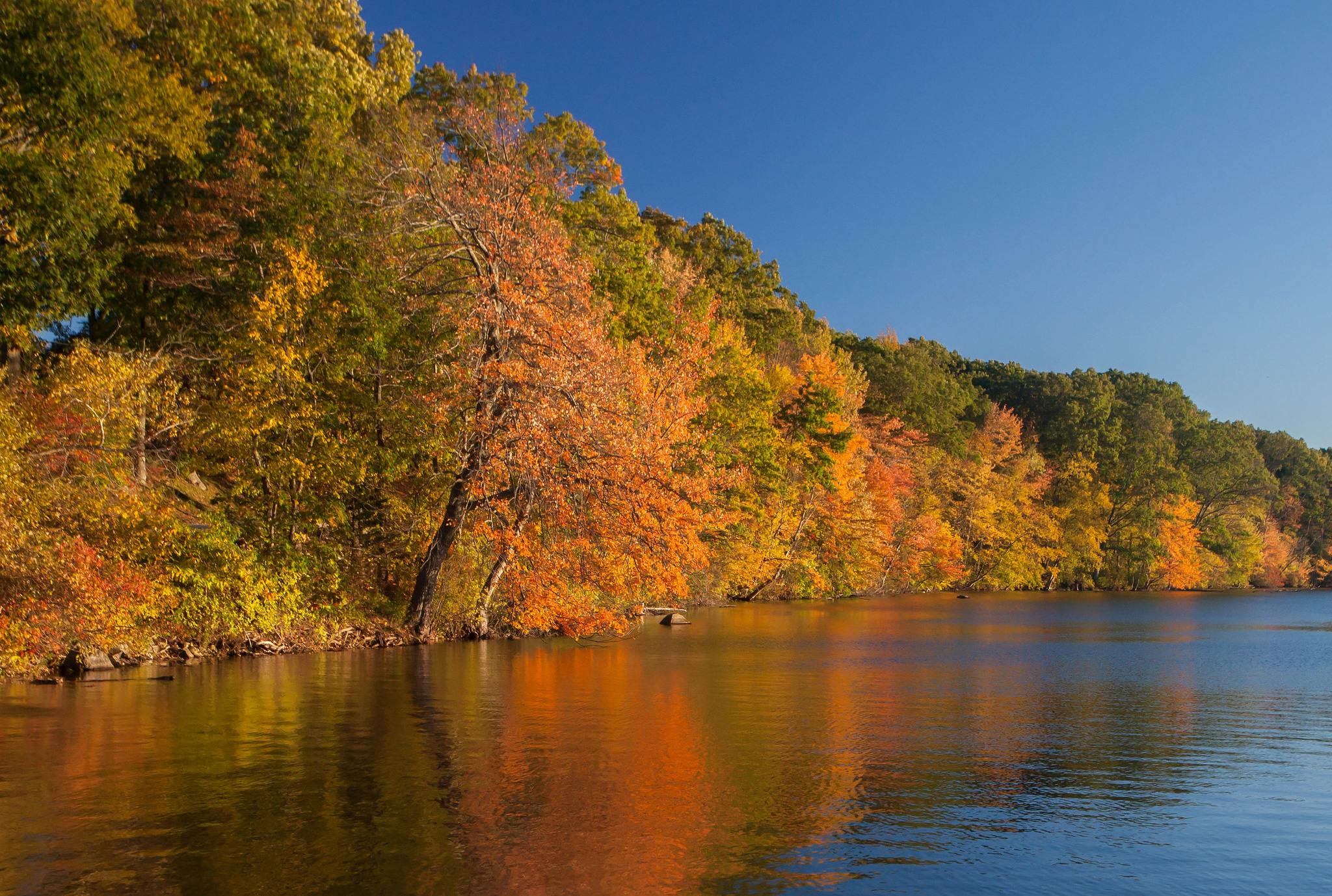 Lincoln Woods State Park